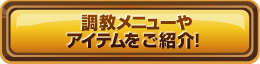 調教メニューやアイテムをご紹介！