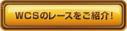 WCSのレースをご紹介！