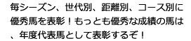 毎シーズン、世代別、距離別、コース別に優秀馬を表彰！もっとも優秀な成績の馬は、年度代表馬として表彰するぞ！