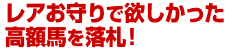 レアお守りGETで欲しかった高額馬を落札！