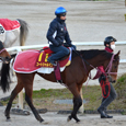 井内が有力馬に迫る