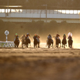 地方競馬トップ