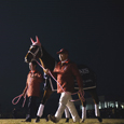 ファンが選ぶ年度代表馬