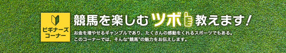 競馬を楽しむツボ教えます！お金を増やせるギャンブルであり、たくさんの感動を
くれるスポーツでもある。このコーナーでは、そんな“競馬”の魅力をお伝えします。