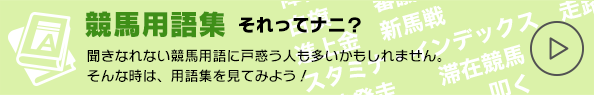 競馬用語集それってナニ？聞きなれない競馬用語に戸惑う人も多いかもしれません。そんな時は、用語集を見てみよう！