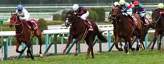 文句なしにオークスの有力馬の1頭/フローラS