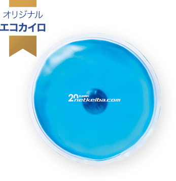オリジナル エコカイロ イメージ