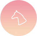 お気に入り馬